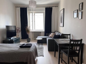 Beautiful city apartment at Kallio, Helsinki